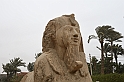 09 MAK_6861